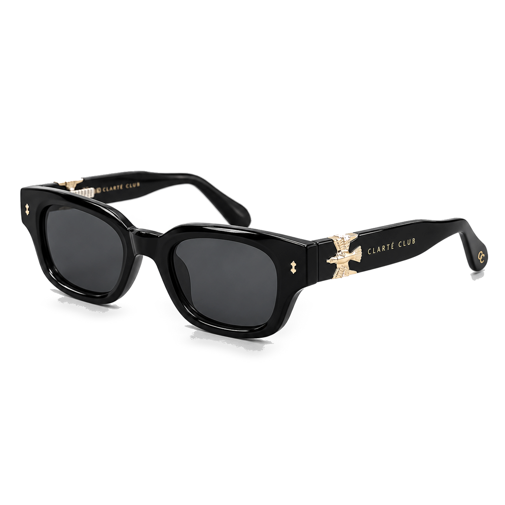 Black Eagle sunglasses product view 2 on a transparent background