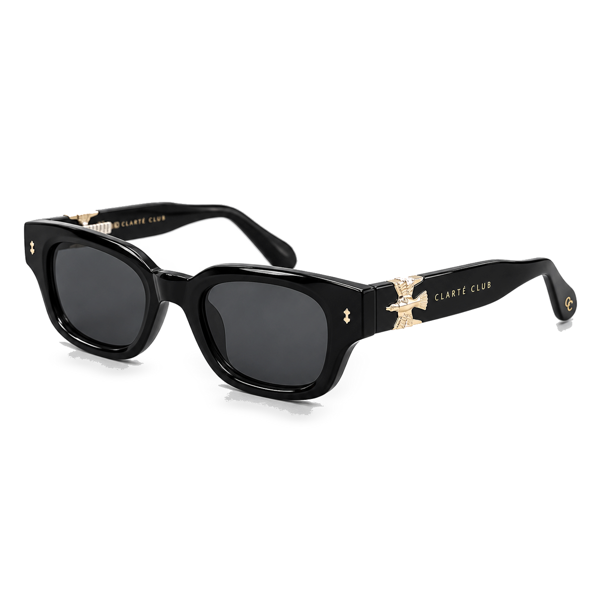Black Eagle sunglasses product view 2 on a transparent background