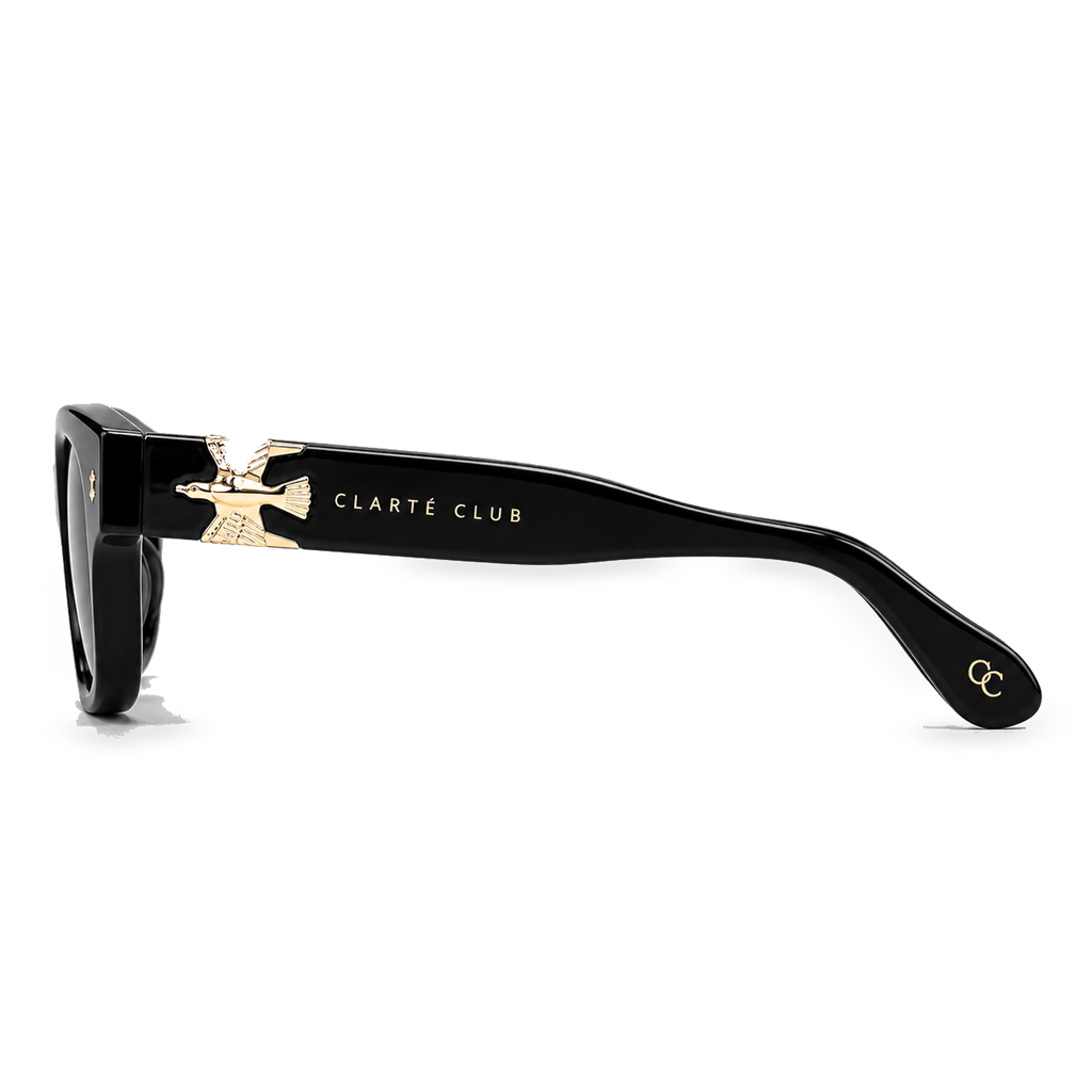 Black Eagle sunglasses product view 3 on a transparent background