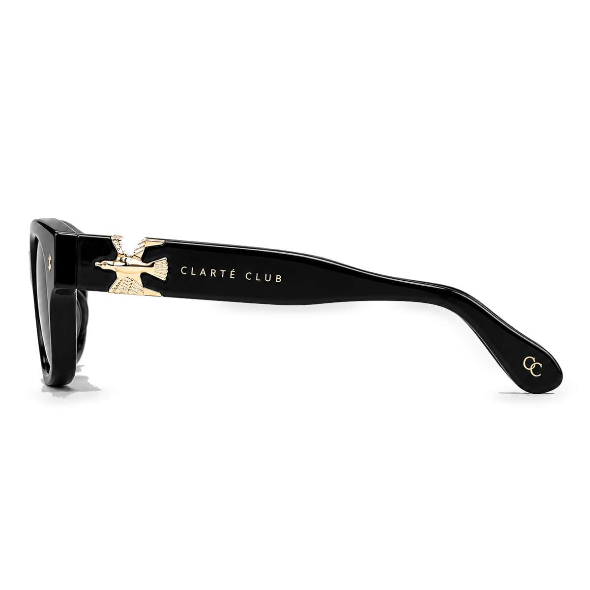 Black Eagle sunglasses product view 3 on a transparent background