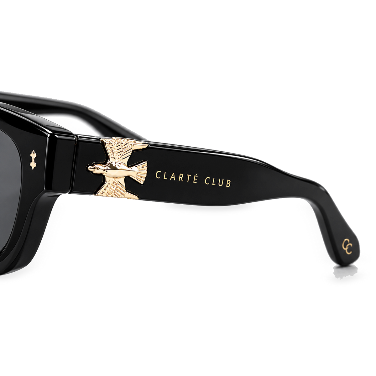 Black Eagle sunglasses product view 5 on a transparent background